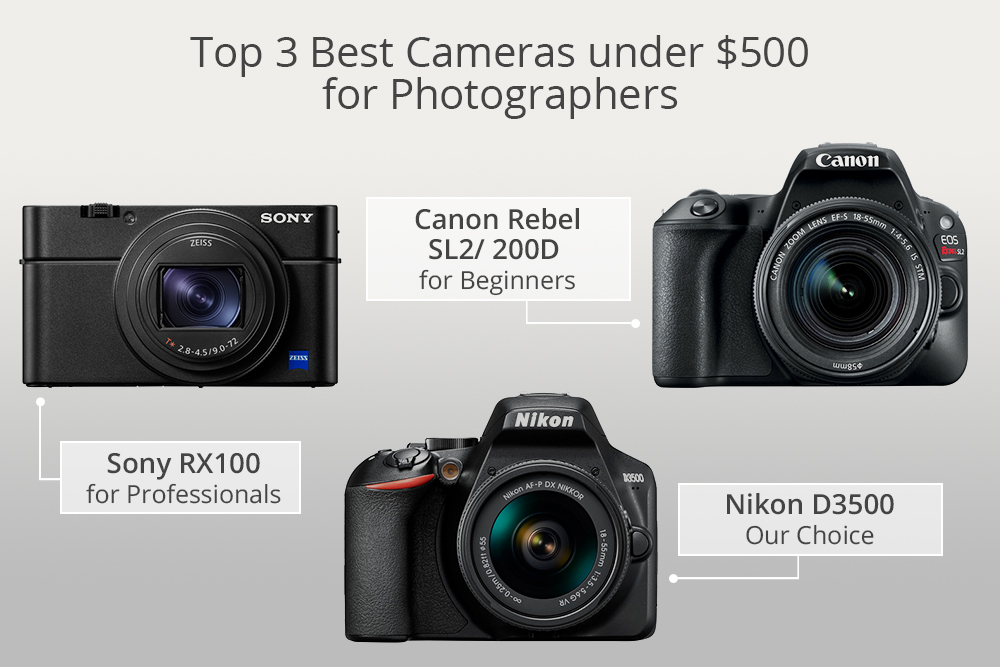 13 Best Cameras under 500 Review What is the Best Mirrorless and DSLR